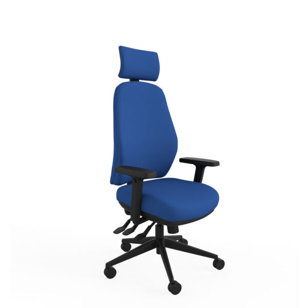 Orthopaedic Office Chairs Shop Orthopedic Chairs Online Ecd