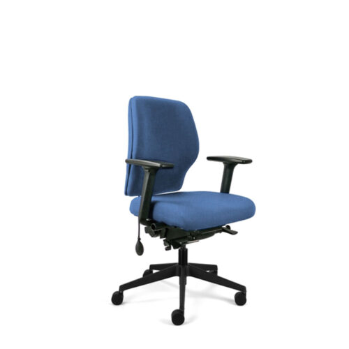Coccyx Chairs & Office Chairs for Coccyx Pain ECD