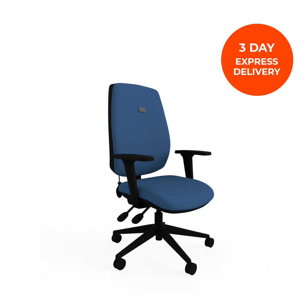 Fast Delivery Regular Office Chair Buy Online Now ECD