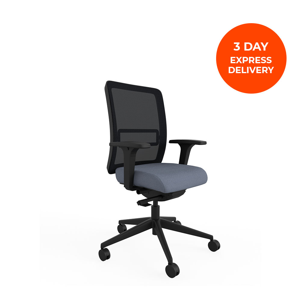 Quick Delivery Mesh Office Chair Order Online Now ECD
